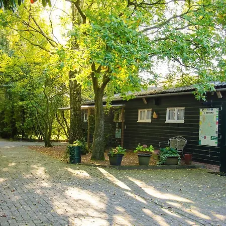 Vakantiehuis Vakantiewoning De Berkeboom Winterswijk
